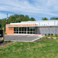 Lake Forest Animal Hospital ico