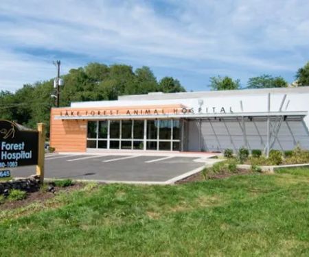 Lake Forest Animal Hospital