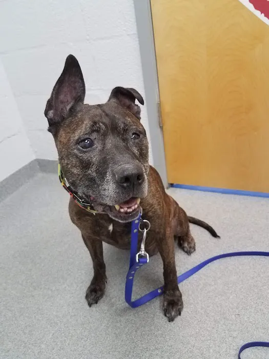 Lake Forest Animal Hospital Picture 3