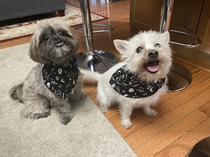Lake Forest Animal Hospital Picture 4