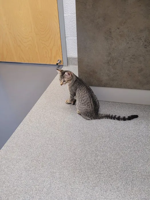 Lake Forest Animal Hospital Picture 5