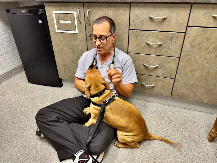 Lake Forest Animal Hospital Picture 6