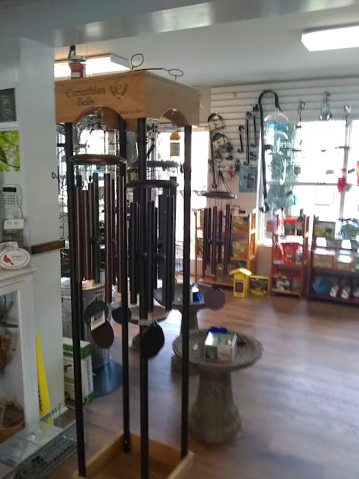 Wright's Backyard Birding Center Picture 2
