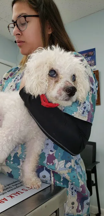 Pet Supermarket Picture 4