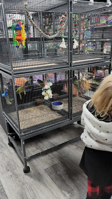 Pet Supermarket Picture 7