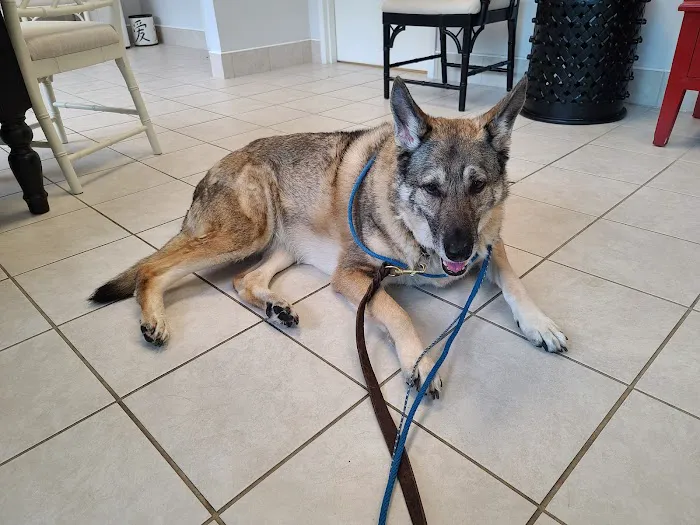 Negola's Animal Care Picture 3