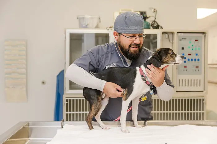 Negola's Animal Care Picture 6