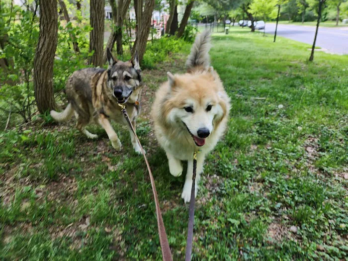 Negola's Animal Care Picture 8