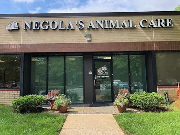 Negola's Animal Care Picture 7