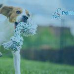 PetWellClinic - Columbia