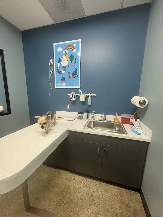 PetWellClinic - Columbia Picture 9