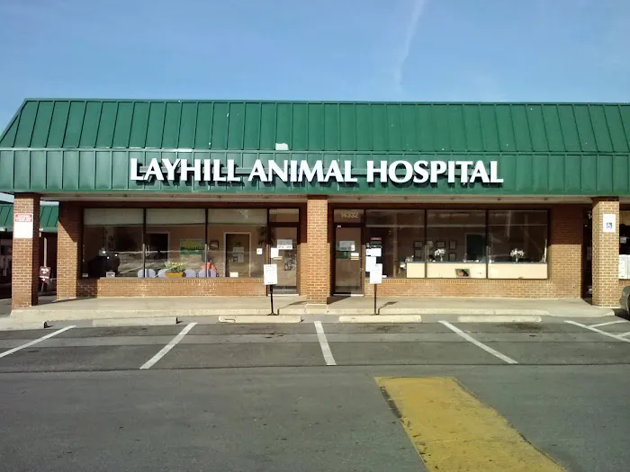 Layhill Animal Hospital Picture 3