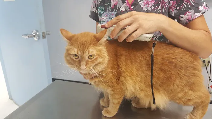 Layhill Animal Hospital Picture 4