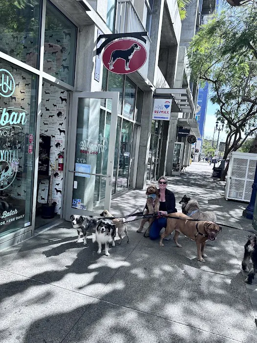 Urban Wolf Picture 2