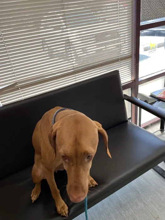 Gaithersburg Animal Hospital Picture 4