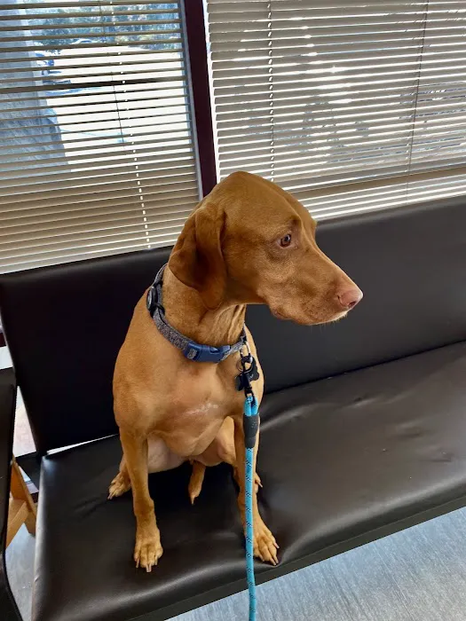 Gaithersburg Animal Hospital Picture 5