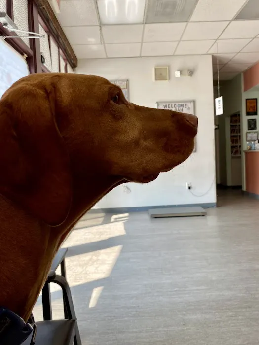 Gaithersburg Animal Hospital Picture 6