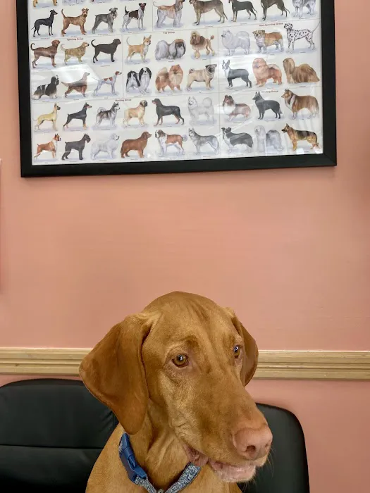 Gaithersburg Animal Hospital Picture 3