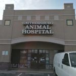 Gaithersburg Animal Hospital