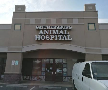 Gaithersburg Animal Hospital