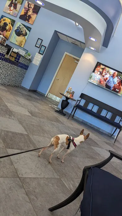 Gaithersburg Animal Hospital Picture 9