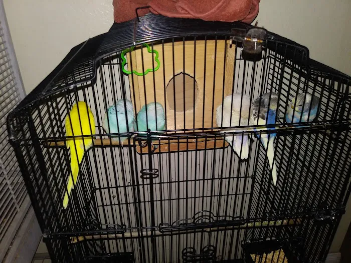 Arrieros Pet Shop Picture 4