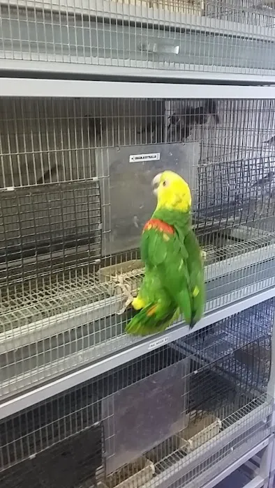 Arrieros Pet Shop Picture 3