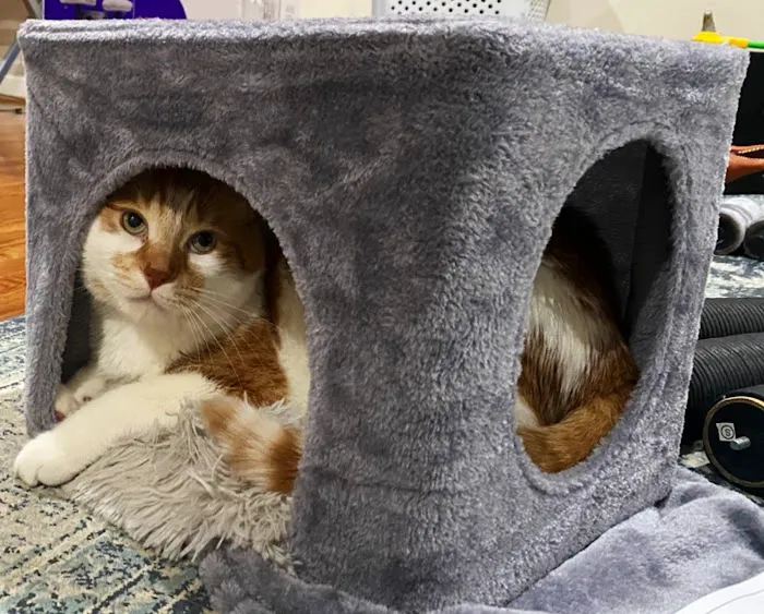 Animal Place Veterinary Hospital Picture 1