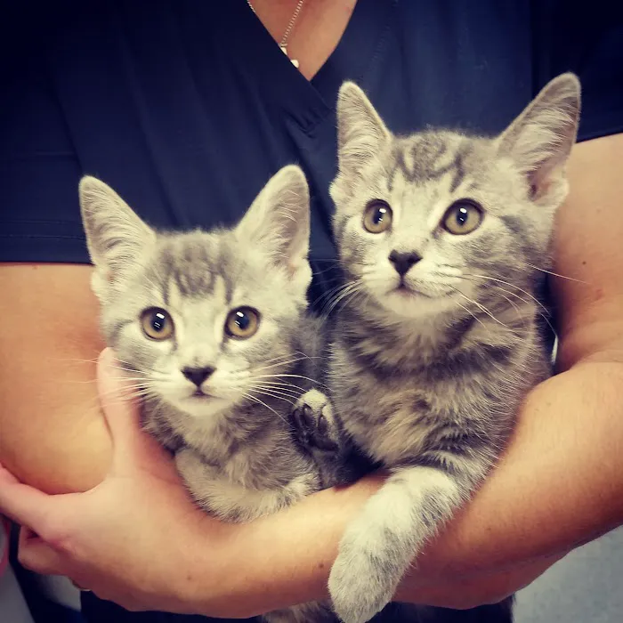 Animal Place Veterinary Hospital Picture 10