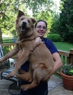 Animal Place Veterinary Hospital Picture 5