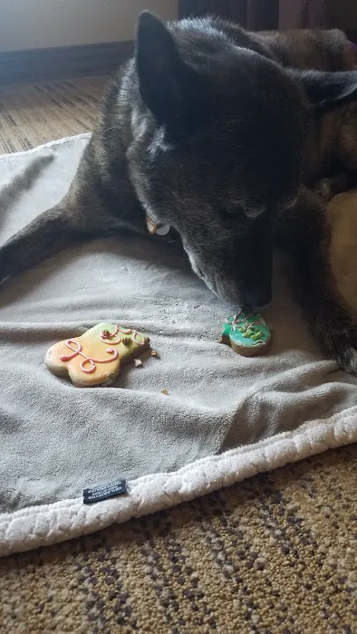 Original Paw Pleasers Dog Bakery Picture 6