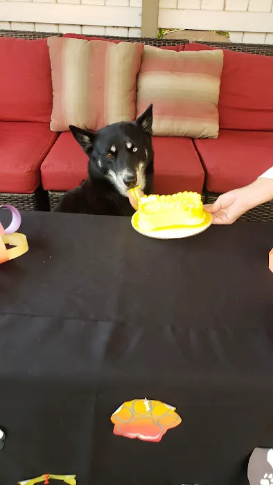 Original Paw Pleasers Dog Bakery Picture 7