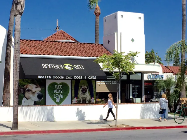Dexter's Deli - North Park Picture 3
