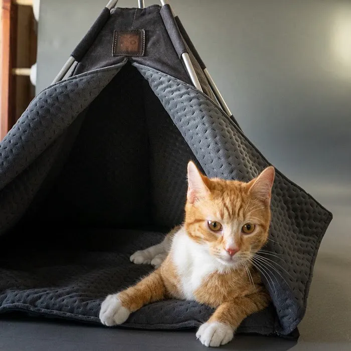 Petnah Luxury Pet Products Picture 1
