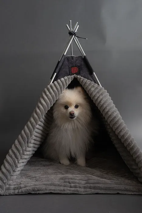 Petnah Luxury Pet Products Picture 2