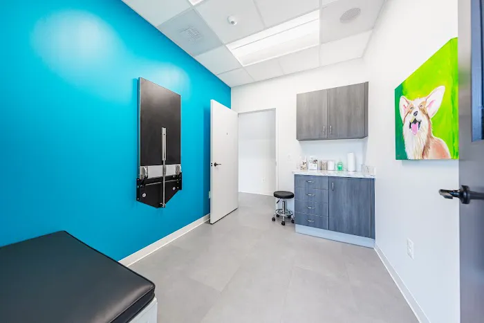 ACHIEVE Veterinary Urgent Care Picture 1