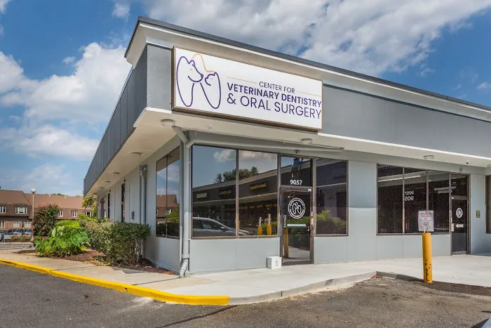 Center for Veterinary Dentistry and Oral Surgery LLC Picture 3