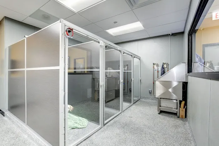 Center for Veterinary Dentistry and Oral Surgery LLC Picture 4