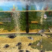 Pet Zone Tropical Fish ico
