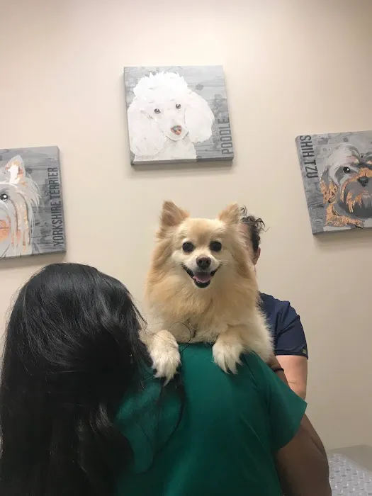 Petvacx Animal Hospital Picture 2