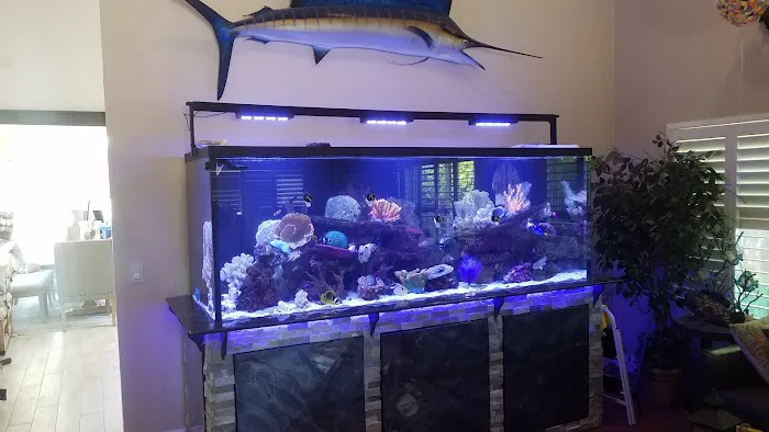 San Diego Aquarium Cleaning Picture 1