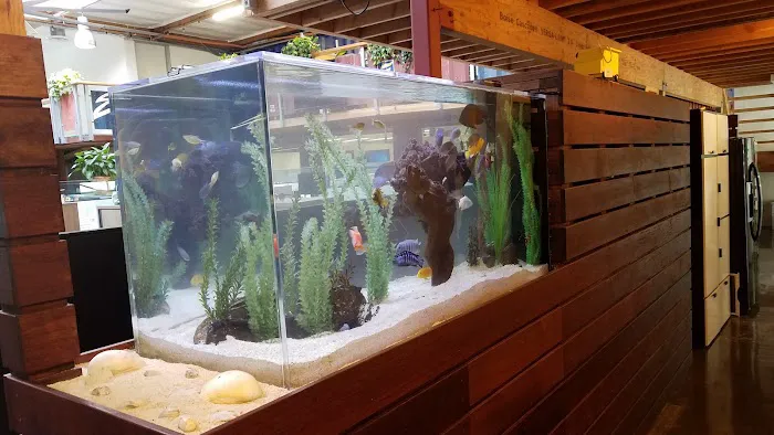 San Diego Aquarium Cleaning Picture 4