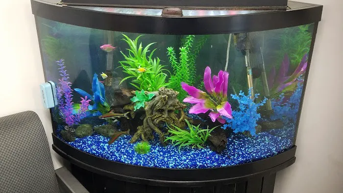 San Diego Aquarium Cleaning Picture 5