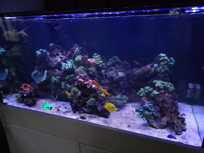 San Diego Aquarium Cleaning Picture 6