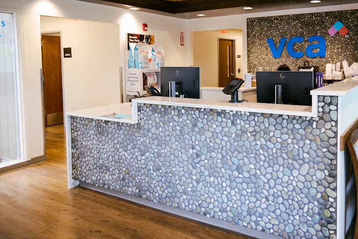 VCA North Rockville Animal Hospital Picture 4