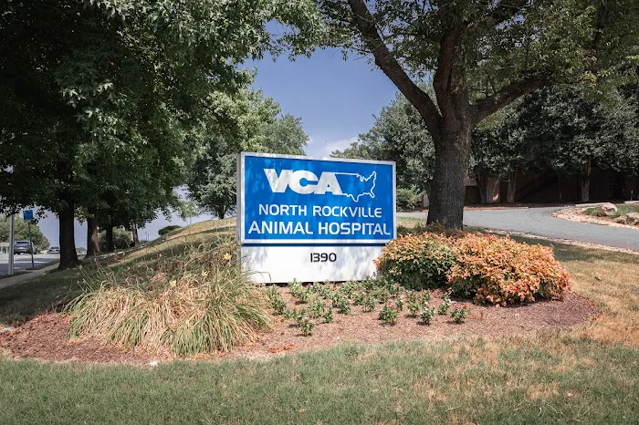 VCA North Rockville Animal Hospital Picture 6