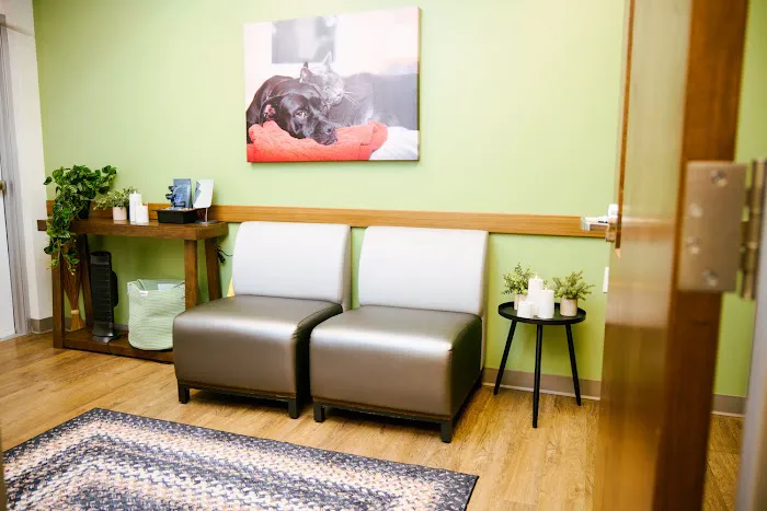 VCA North Rockville Animal Hospital Picture 7