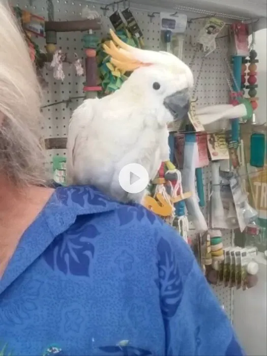 Tropic Island Bird & Supply Picture 1