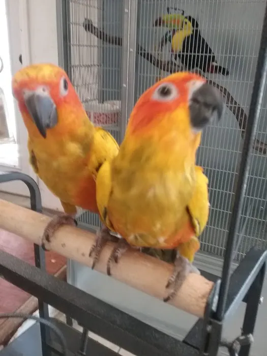 Tropic Island Bird & Supply Picture 2
