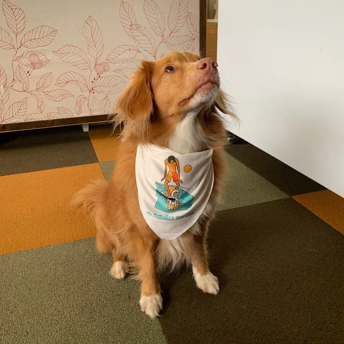 Mr. Suzuki's Pet Care Picture 3